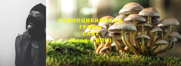 стаф Алексин