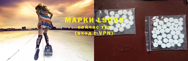 стаф Алексин