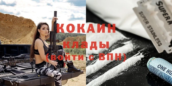 стаф Алексин