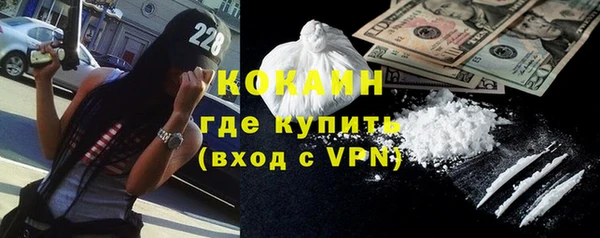 стаф Алексин