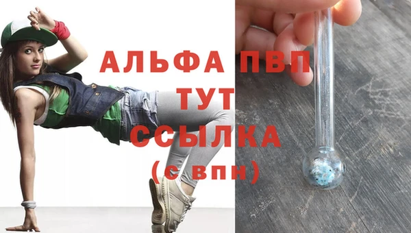 стаф Алексин