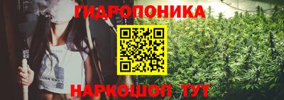молекула духа Рыбинск