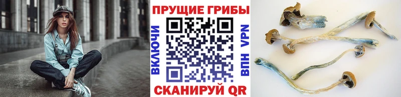 Галлюциногенные грибы мухоморы Балашов