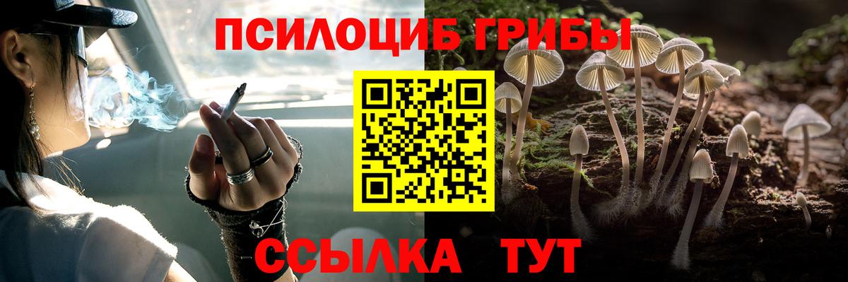 Галлюциногенные грибы GOLDEN TEACHER  Вход с VPN  Балашов 